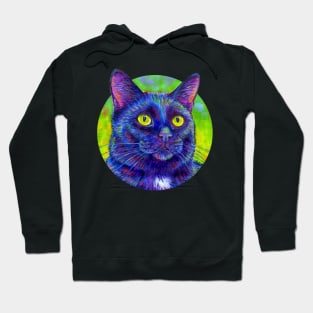 Colorful Black Kitty Cat Hoodie